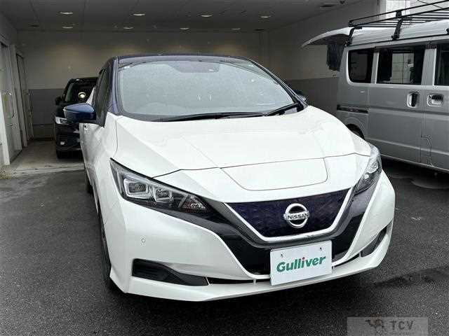 2020 Nissan Leaf