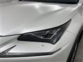 2020 Lexus NX