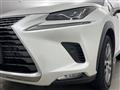 2020 Lexus NX