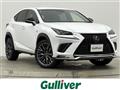 2018 Lexus NX