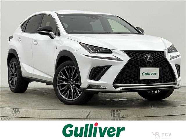 2018 Lexus NX