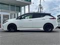 2021 Nissan Leaf