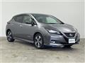 2021 Nissan Leaf
