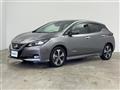 2021 Nissan Leaf
