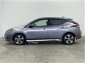 2021 Nissan Leaf
