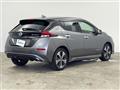 2021 Nissan Leaf