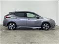 2021 Nissan Leaf