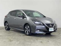 2021 Nissan Leaf