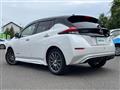 2022 Nissan Leaf