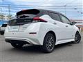 2022 Nissan Leaf
