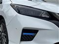 2022 Nissan Leaf