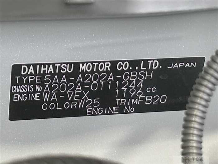 2025 Toyota Raize