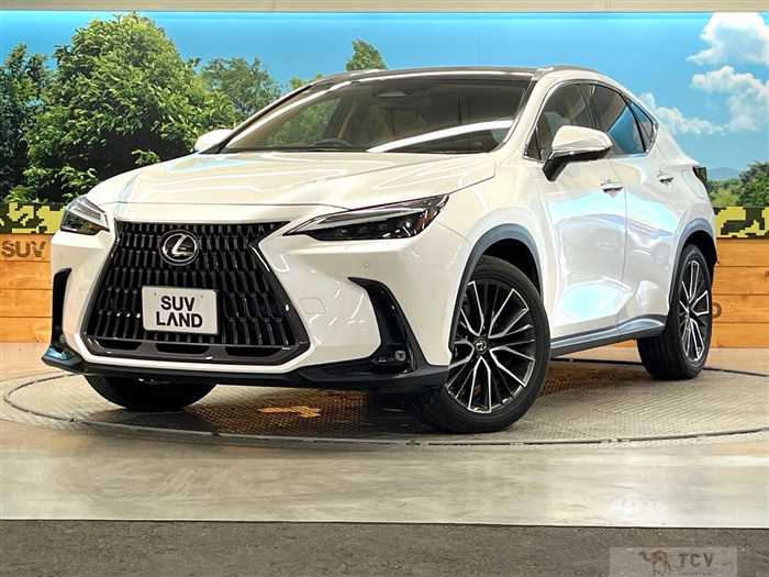 2023 Lexus NX