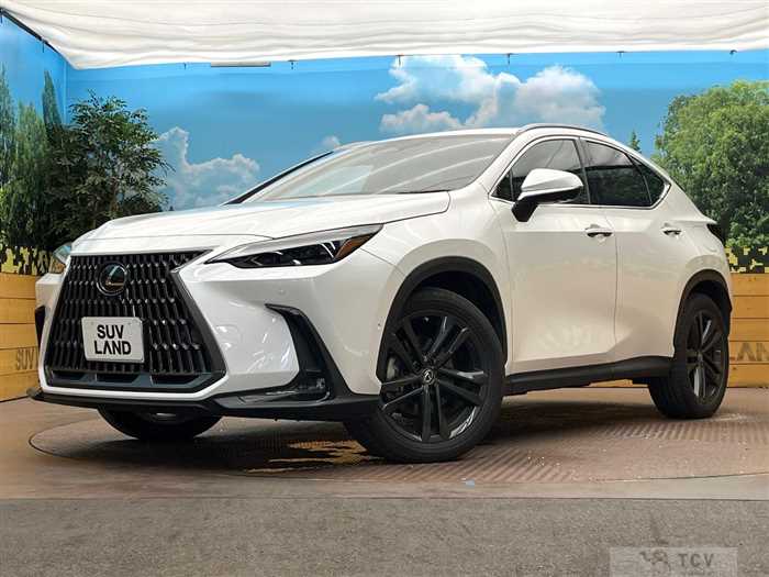 2022 Lexus NX