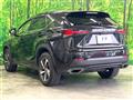 2018 Lexus NX