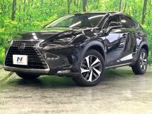 2018 Lexus NX