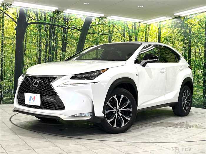 2014 Lexus NX