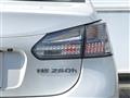 2010 Lexus HS