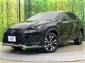 2019 Lexus NX