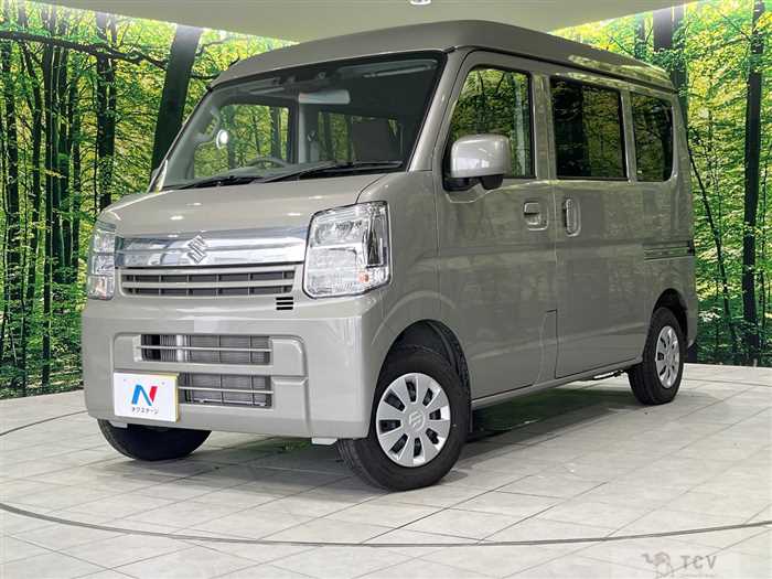 2025 Suzuki Every
