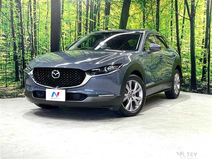 2019 Mazda Mazda Others