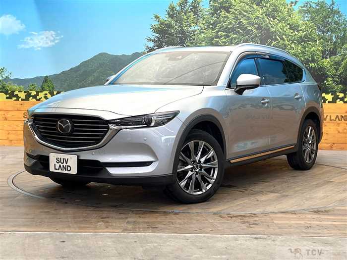 2019 Mazda CX-8
