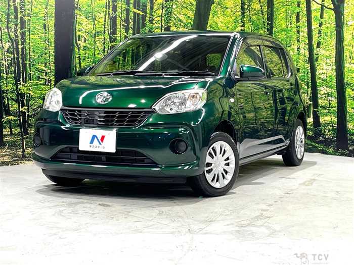 2017 Toyota Passo