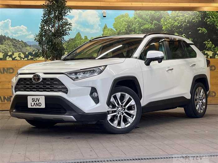 2020 Toyota RAV4