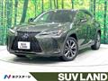 2020 Lexus Other