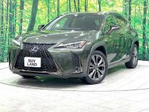 2020 Lexus Other