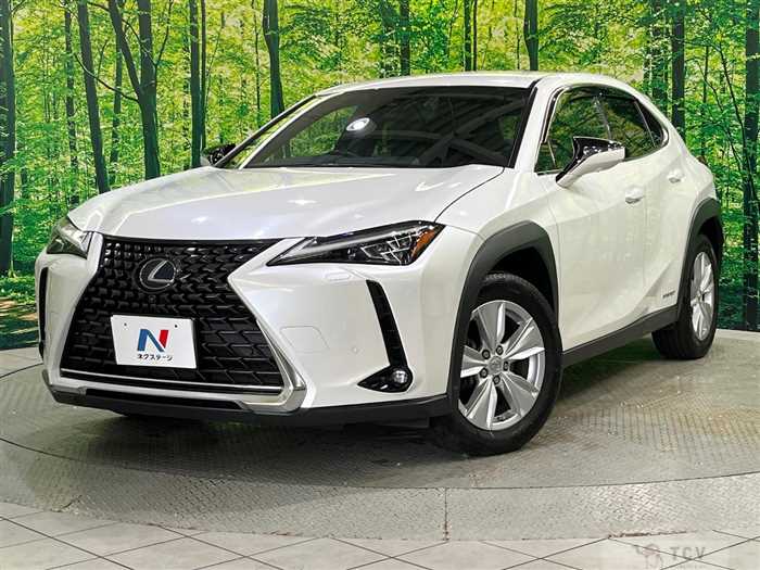 2020 Lexus Other