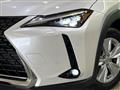 2020 Lexus Other