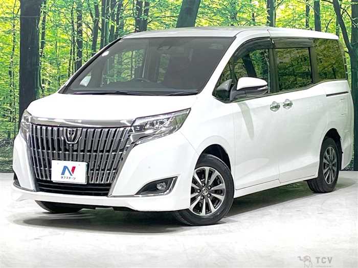 2019 Toyota Esquire