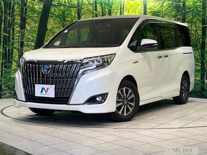 2019 Toyota Esquire