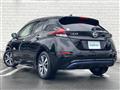 2021 Nissan Leaf