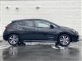 2021 Nissan Leaf
