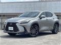 2022 Lexus NX