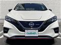2019 Nissan Leaf