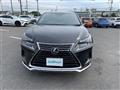 2021 Lexus NX