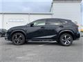 2021 Lexus NX