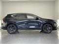 2025 Lexus NX