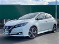 2020 Nissan Leaf