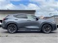 2024 Lexus NX