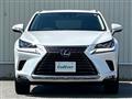 2019 Lexus NX