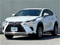 2019 Lexus NX