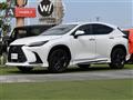 2022 Lexus NX