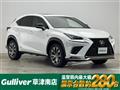 2019 Lexus NX