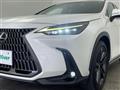 2022 Lexus NX