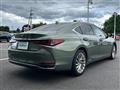 2019 Lexus ES