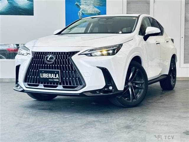 2021 Lexus NX